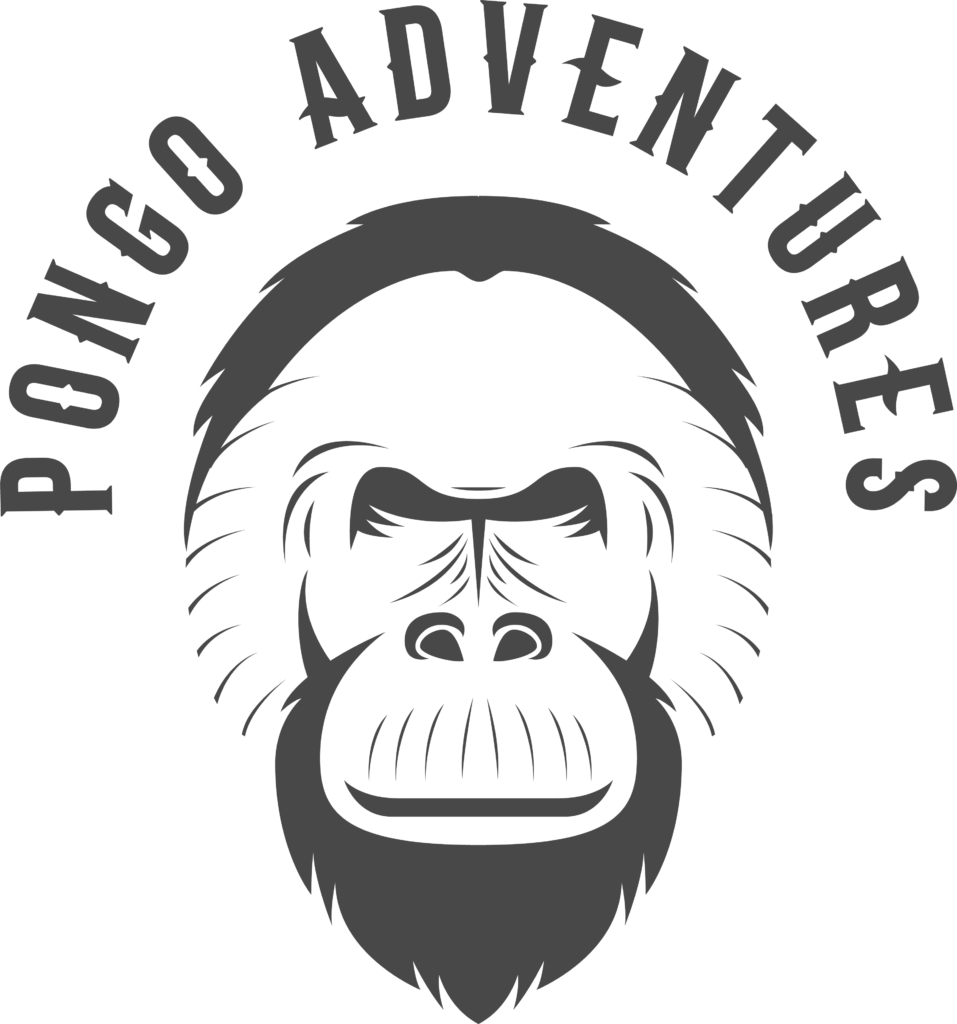 Pongo Adventures